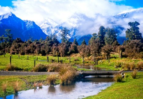 【愛戀紐西蘭南島10天】金旅獎.早鳥.隱士冰河船.東海岸